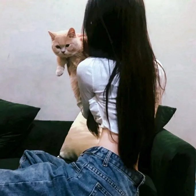 五香宫的猫
